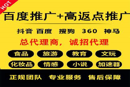 百度竞价与搜索引擎优化（SEO）的协同效应案例